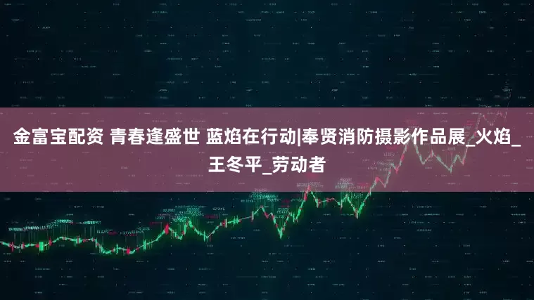 金富宝配资 青春逢盛世 蓝焰在行动|奉贤消防摄影作品展_火焰_王冬平_劳动者