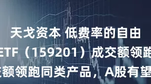 天戈资本 低费率的自由现金流ETF（159201）成交额领跑同类产品，A股有望震荡上行